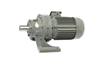 Cycloid gearmotor